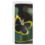 flower in raindrop custom rack card