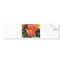 Flower In Springtime Bumper Sticker