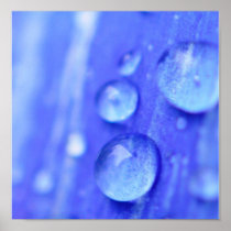 Flower In The Rain Posters
