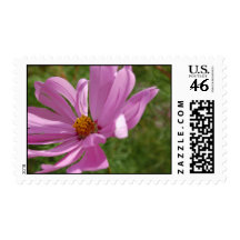 Flower in the Wind Postage Stamp