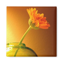 Flower in Vase magnets by cshphotos Flower in Vase magnets