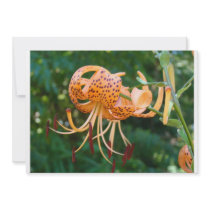 Flower Invitation Cards Lily Flowers Invitations by Basleeartprintgifts Flower Invitation Cards Lily Flowers Invitations