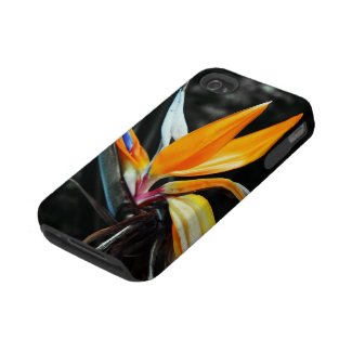 Flower iPhone 4 Tough Case