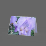 Flower - Iris cards