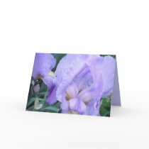 Flower - Iris cards by gramabarb Flower - Iris cards
