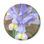 flower,iris refrigerator magnets