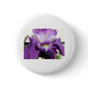 flower, iris purple buttons by pinkypetals flower, iris purple buttons