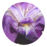 flower, iris purple stickers