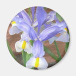 flower,iris refrigerator magnets