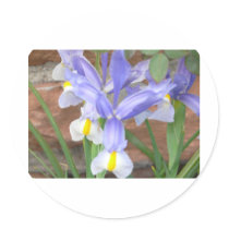 flower,iris stickers