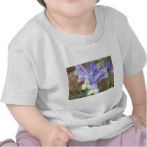 flower,iris tshirt
