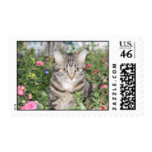 flower kitty postage stamps