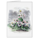 Flower Ladies Daisy Animated Flowers Grandville Cards
