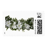 Flower Lei Postage Stamp