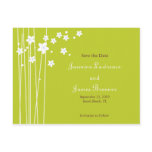 Flower &amp; Lines: Lime Post Cards