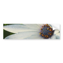 Flower Macro From Balboa Park bumper stickers by lifesphere Flower Macro From Balboa Park bumper stickers