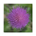 Flower magnets