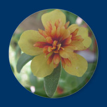 Flower magnet