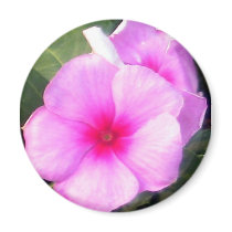 Flower magnets by Frayba Flower magnets