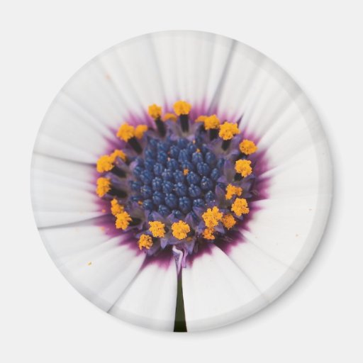 Flower Magnet