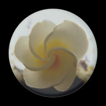 flower magnet magnets