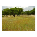 Flower meadow with oak trees - print