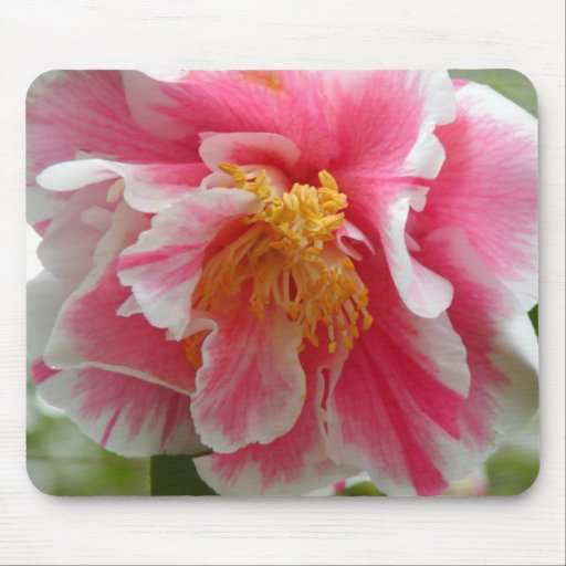 flower mouse pads