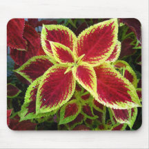 Flower Mousepad