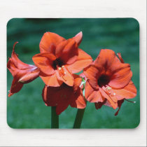 Flower Mousepad mousepads