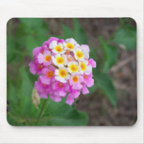 Flower Mousepad 01