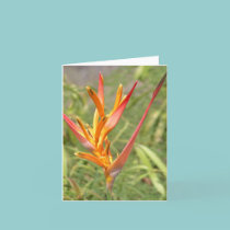 Flower Note Card