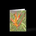 Flower Note Card by Karedesign4 Flower Note Card
