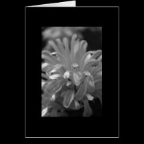 Flower Notecard cards