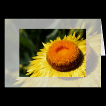 Flower Notecard cards