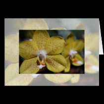 Flower Notecard cards