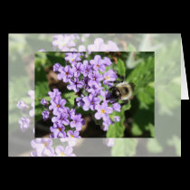Flower Notecard cards