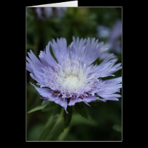 Flower Notecard cards