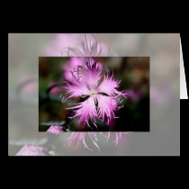 Flower Notecard cards