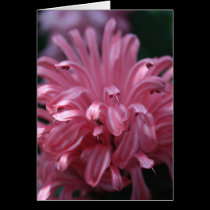 Flower Notecard cards