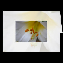 Flower Notecard cards