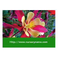 flower nursery business card