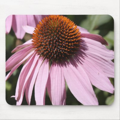 Flower of beauty mousepad by joacreations