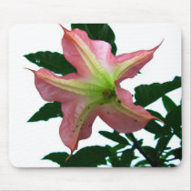 Flower of  Costa Rica mousepads