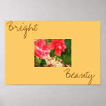 flower of hibiscus pink after rain posters