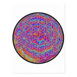 Flower of Life (Color 2) Postcards