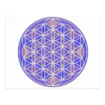 Flower of Life (Color 3) Post Card