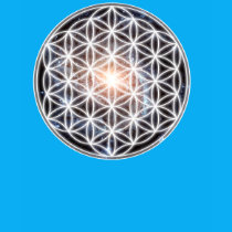 Flower of Life Galactic Activation