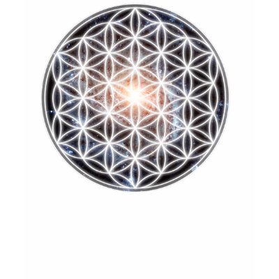 Flower of Life Galactic Activation T Shirts by sacredgeometry