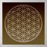 Flower of Life