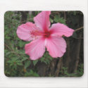 Flower of Peru mousepads